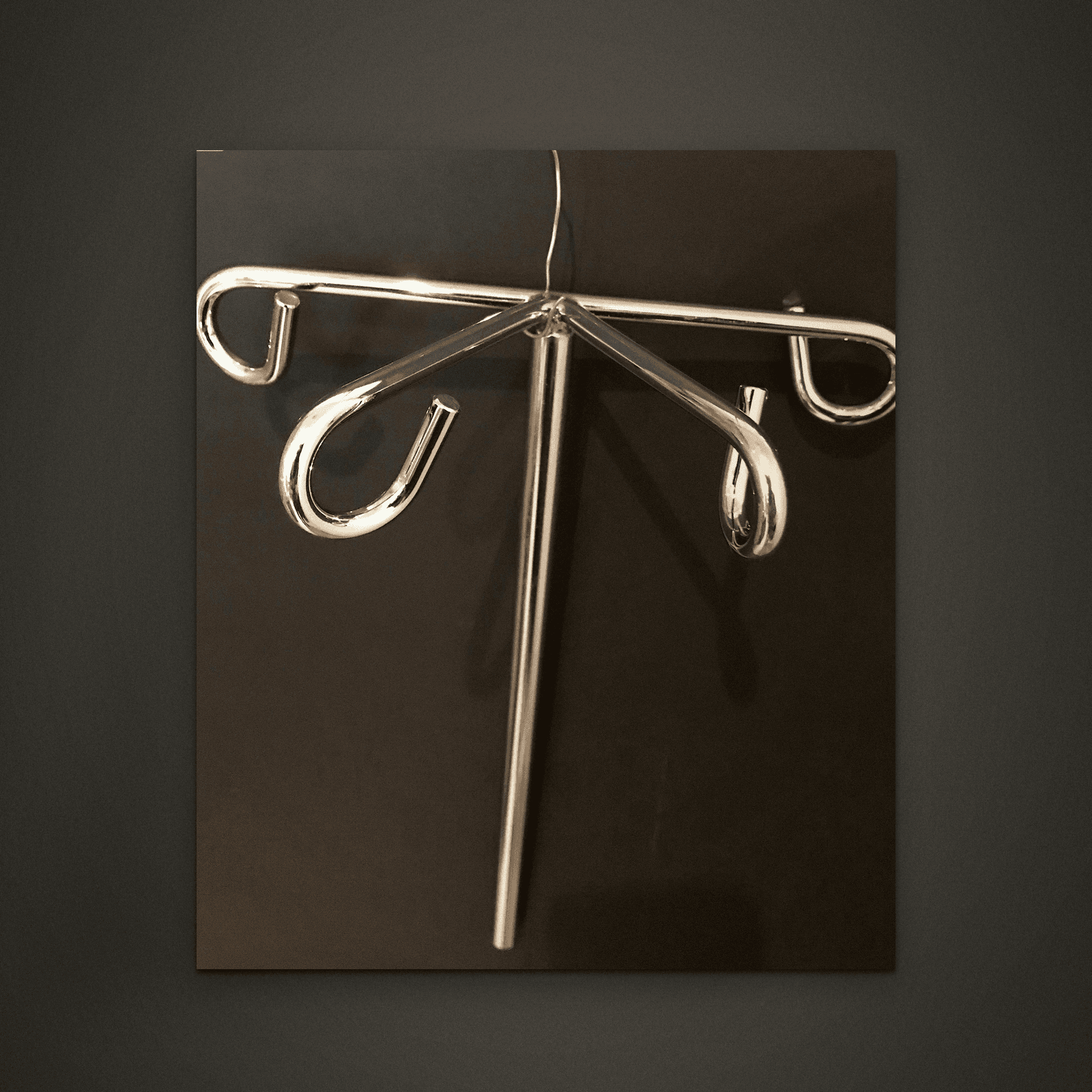 Rotating Multi-Hook Rack