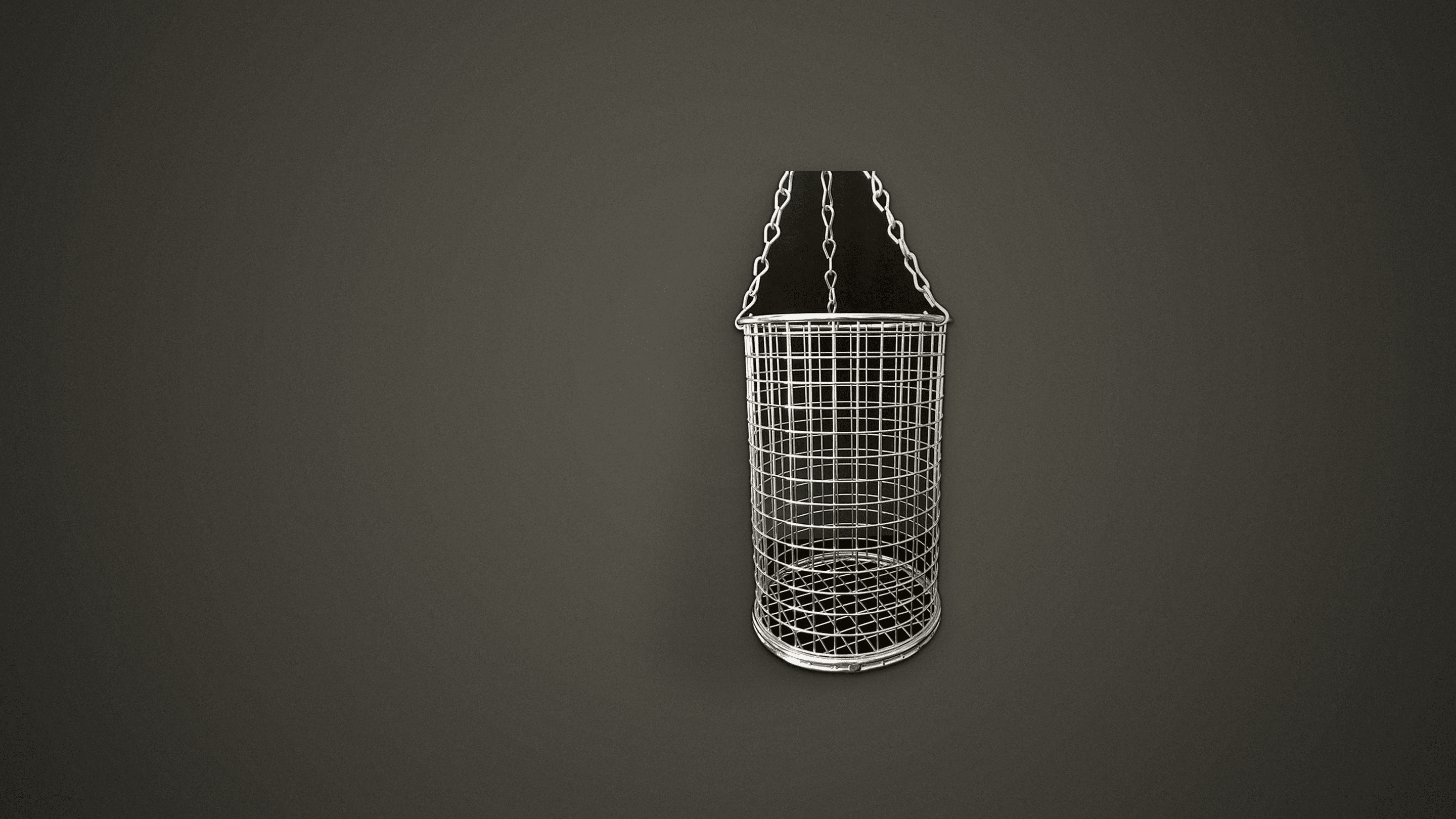 Hanging Mesh Display Basket